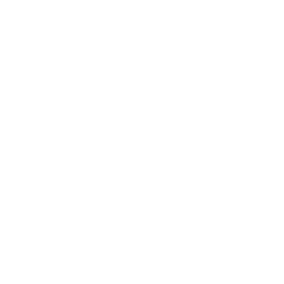 ce logo Paterson