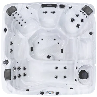 Avalon EC-840L hot tubs for sale in Paterson