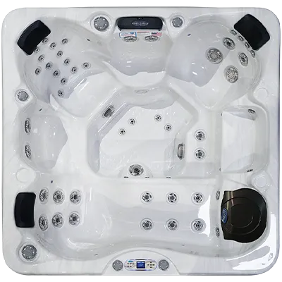 Avalon EC-849L hot tubs for sale in Paterson