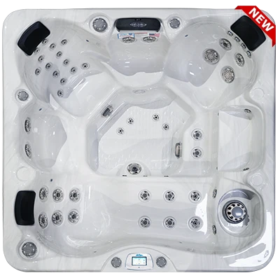 Avalon-X EC-849LX hot tubs for sale in Paterson