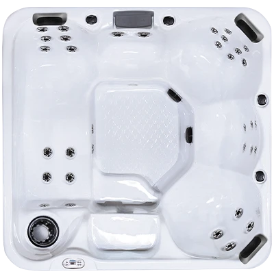 Hawaiian Plus PPZ-634L hot tubs for sale in Paterson